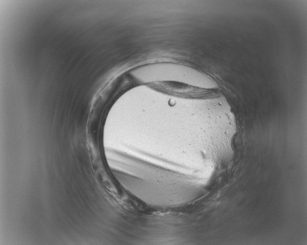 X0000058780244200510282018