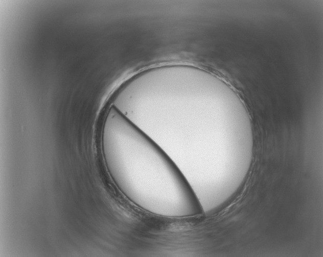 X0000058780248200510282018