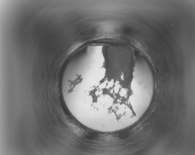 X0000058780249200510282018