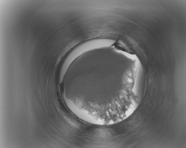 X0000058780250200510282018