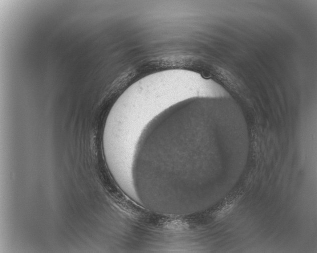 X0000058780258200510282018