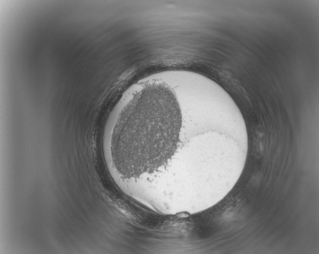 X0000058780260200510282018