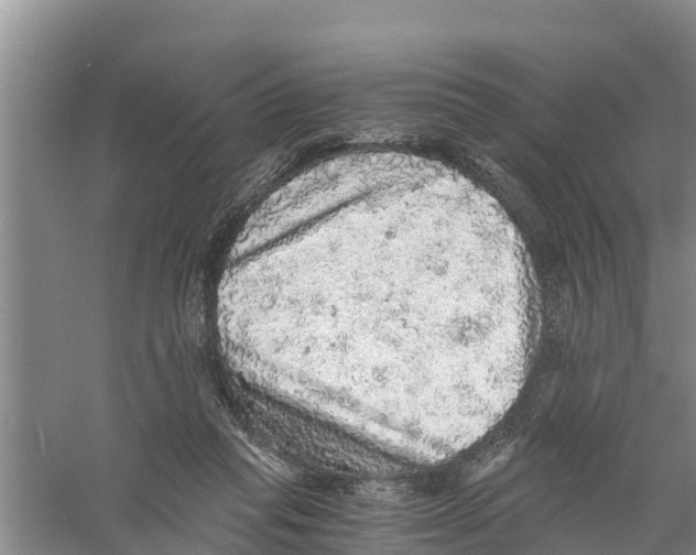 X0000058780261200510282018