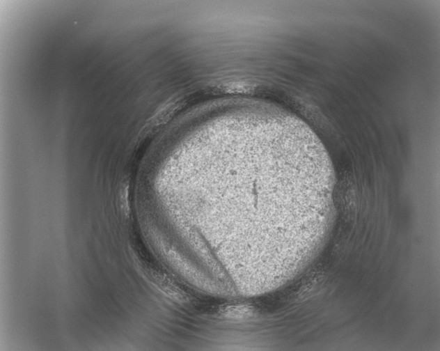 X0000058780262200510282018