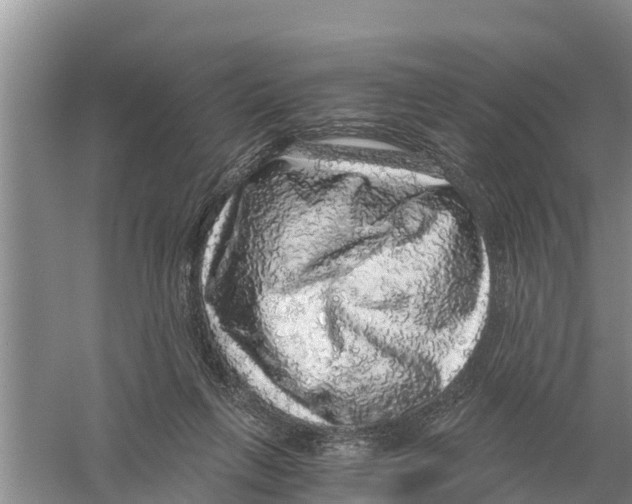 X0000058780263200510282019