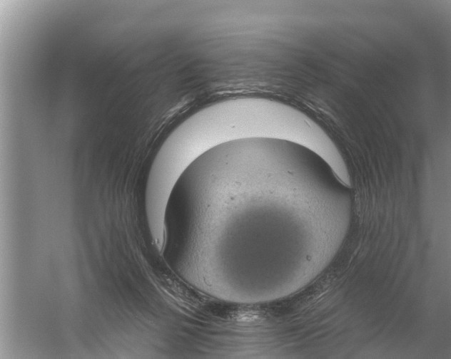 X0000058780264200510282019