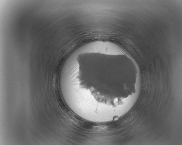 X0000058780266200510282019