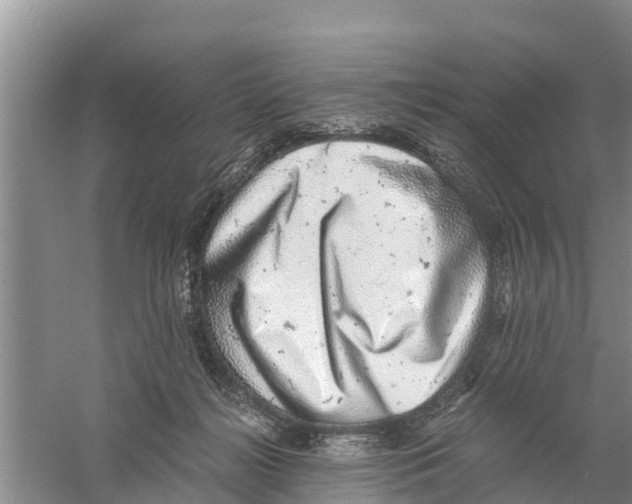 X0000058780268200510282019