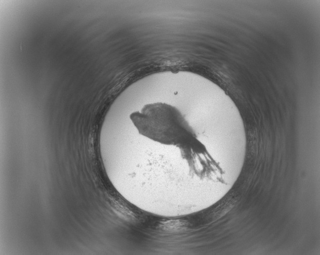 X0000058780269200510282019