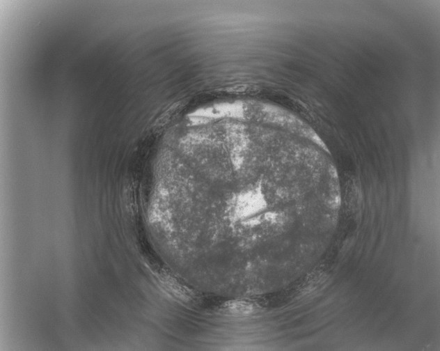 X0000058780272200510282019