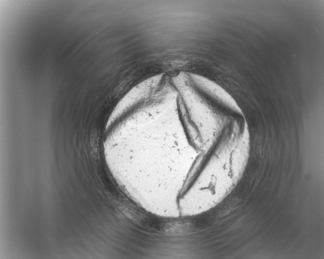 X0000058780274200510282019