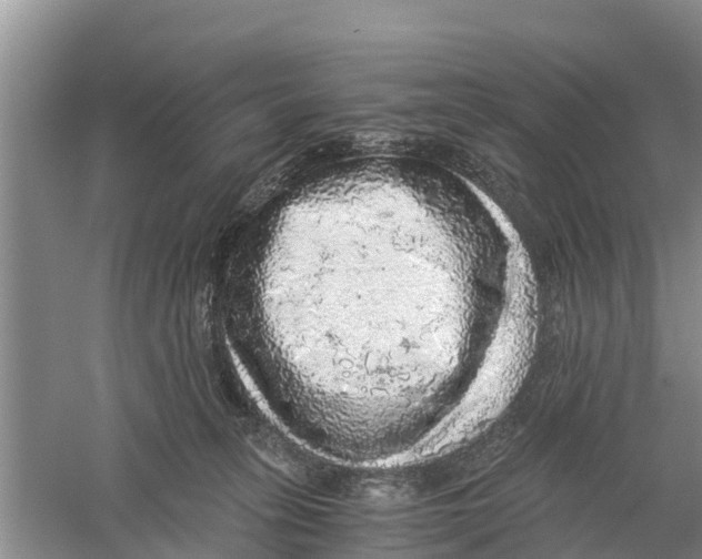 X0000058780275200510282019