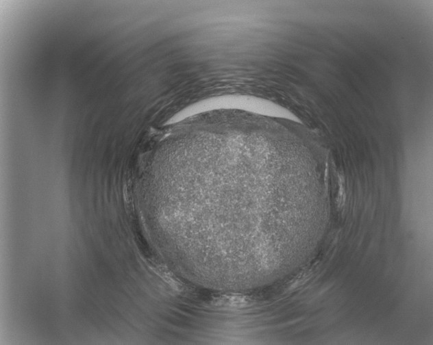 X0000058780276200510282019