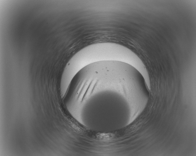 X0000058780277200510282019