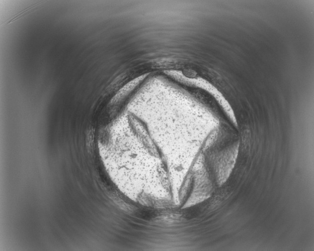 X0000058780278200510282019