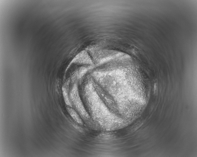 X0000058780280200510282019