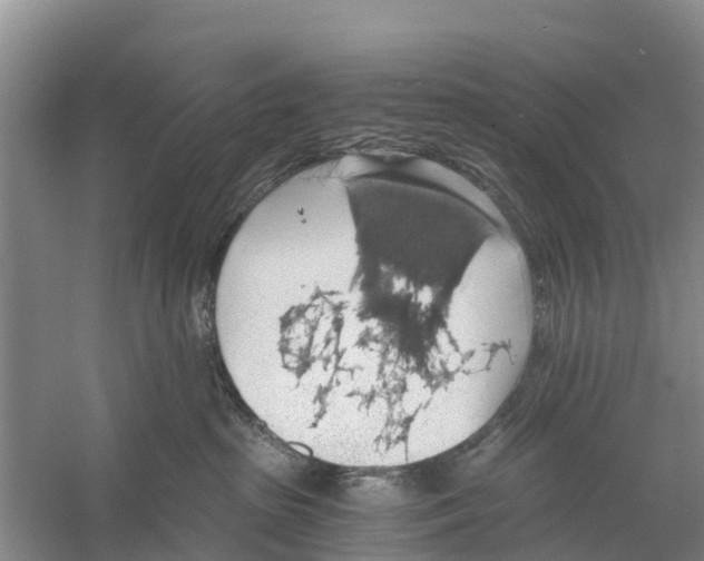 X0000058780285200510282019