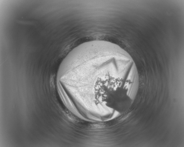 X0000058780286200510282019