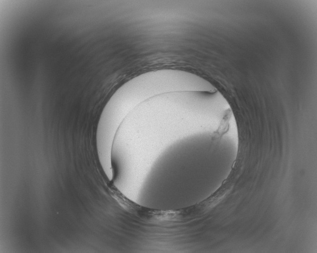 X0000058780288200510282019