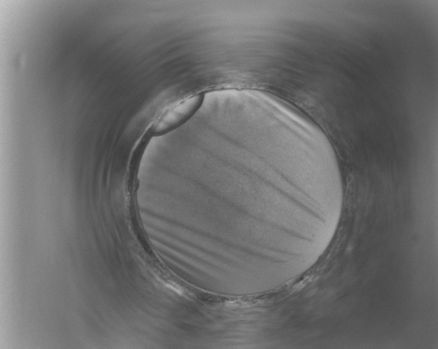 X0000058780290200510282018