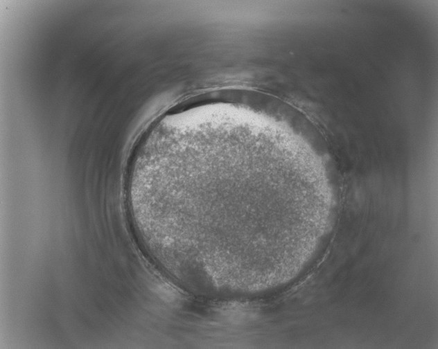 X0000058780293200510282018