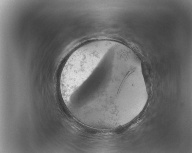 X0000058780295200510282018