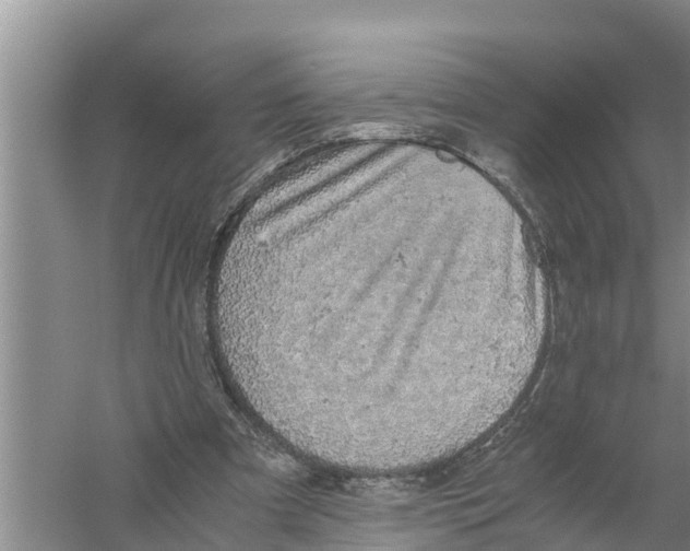 X0000058780297200510282018