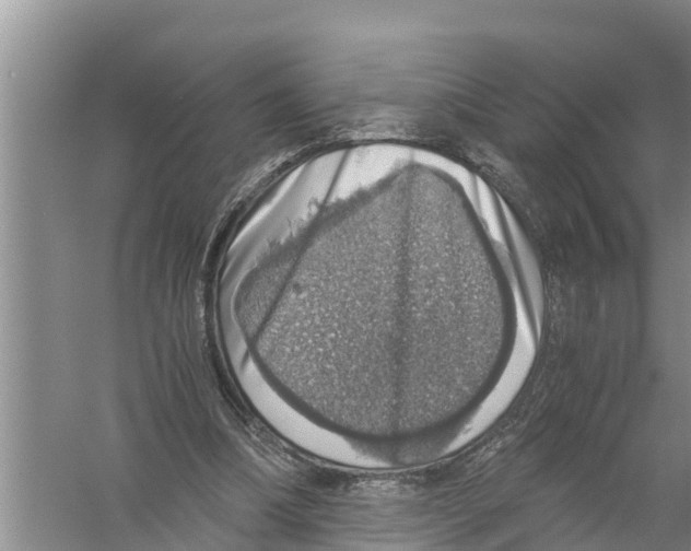 X0000058780298200510282018