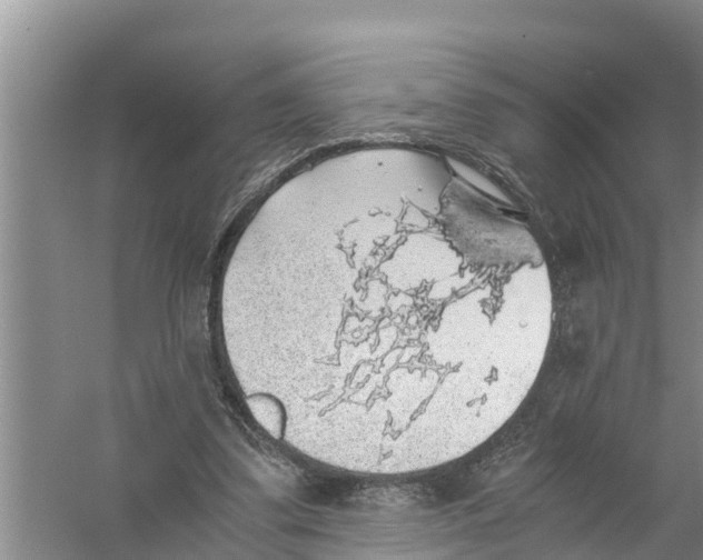 X0000058780299200510282018