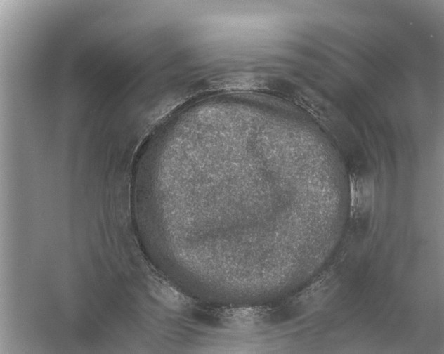 X0000058780301200510282018