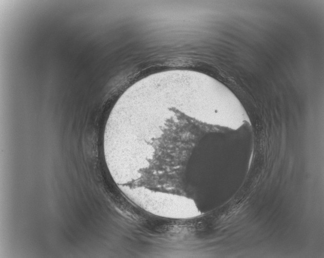 X0000058780303200510282018