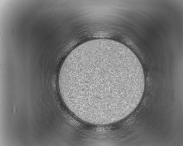 X0000058780305200510282018