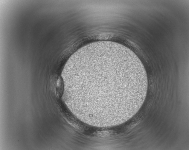 X0000058780307200510282018