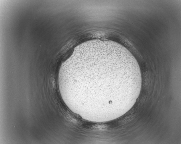 X0000058780313200510282018