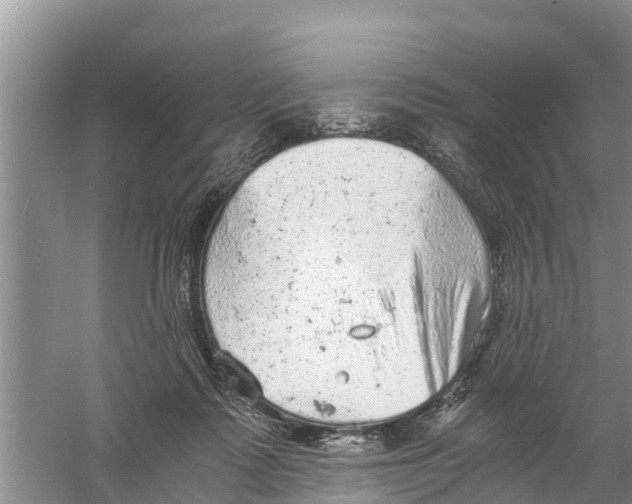 X0000058780315200510282018