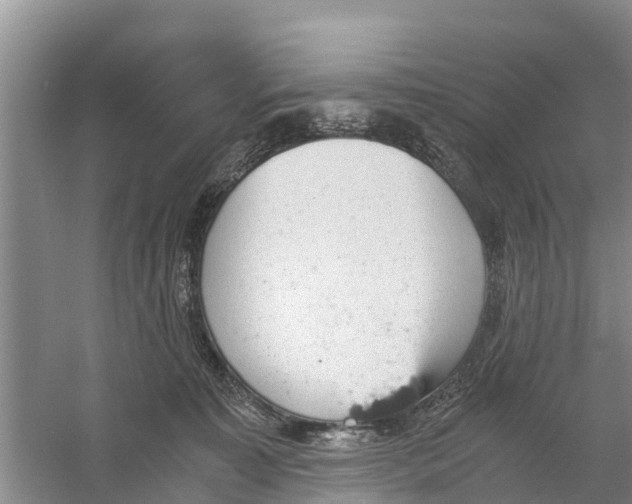 X0000058780323200510282018