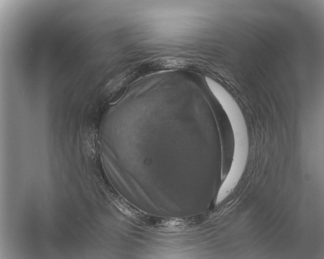 X0000058780325200510282018