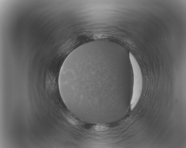 X0000058780327200510282017