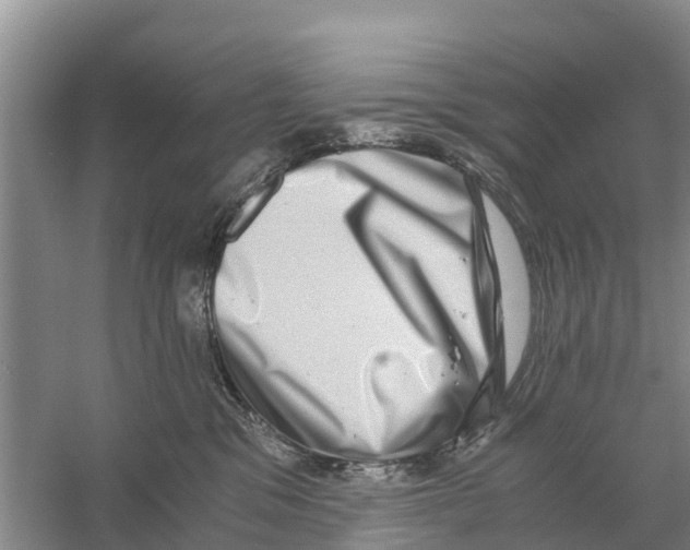 X0000058780329200510282017