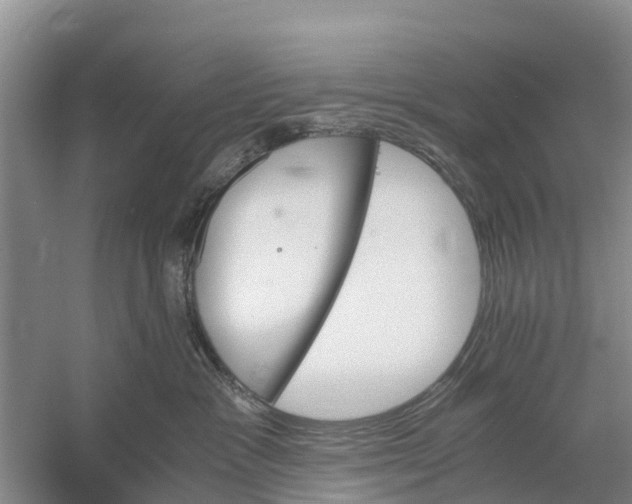 X0000058780333200510282017