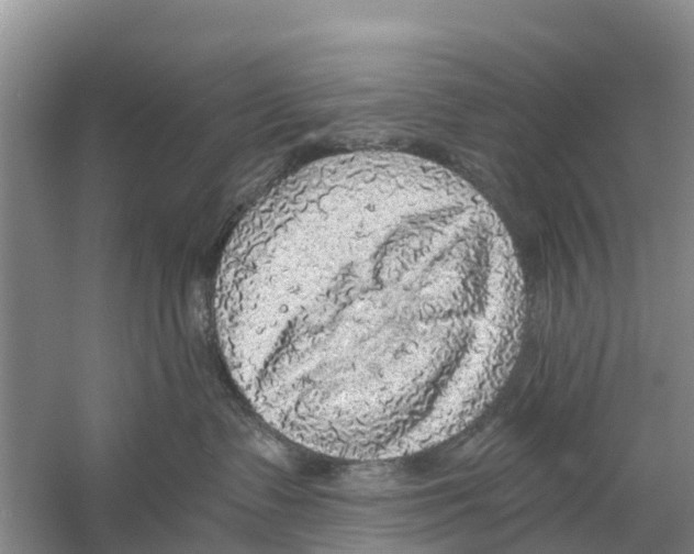 X0000058780335200510282017