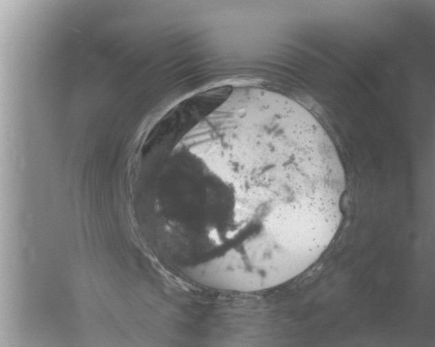 X0000058780337200510282016