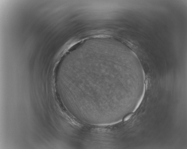 X0000058780339200510282017