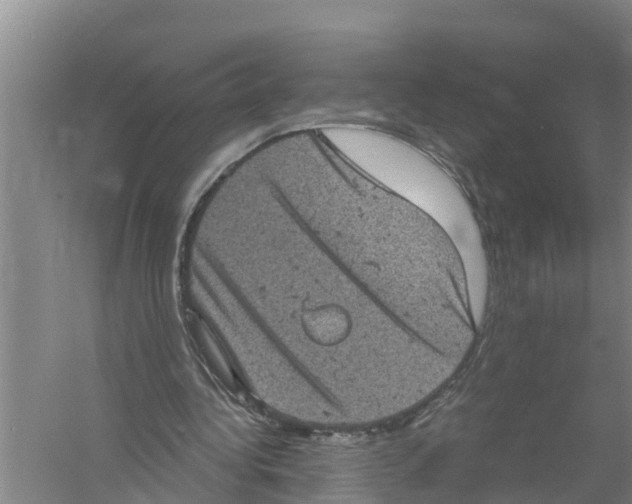 X0000058780340200510282017