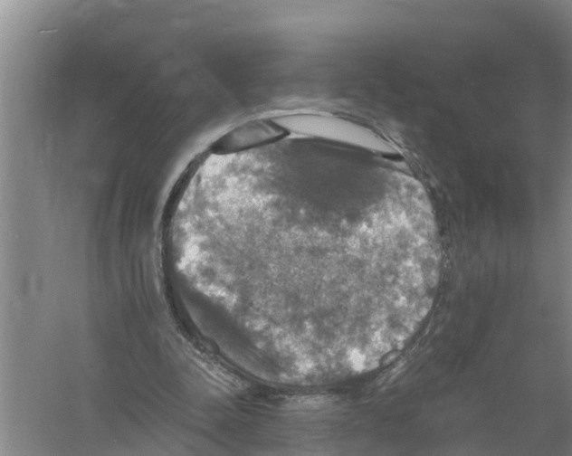 X0000058780342200510282017