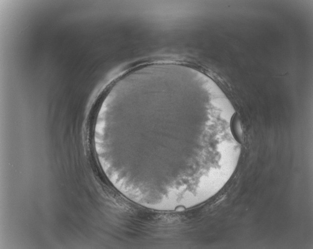 X0000058780343200510282017