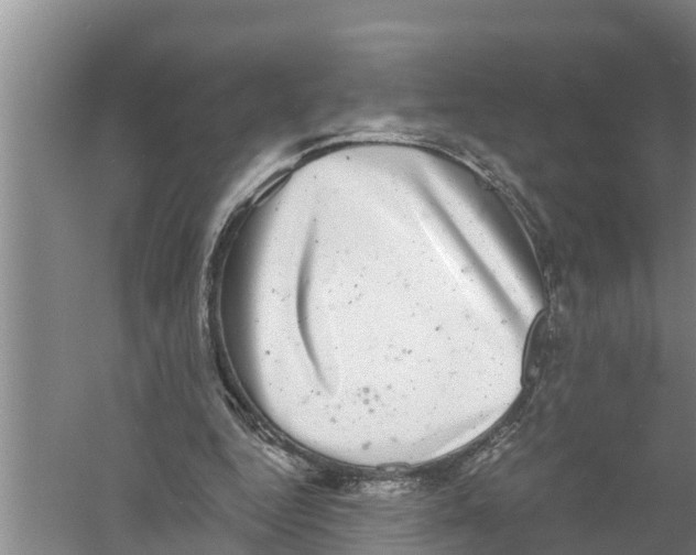 X0000058780344200510282017