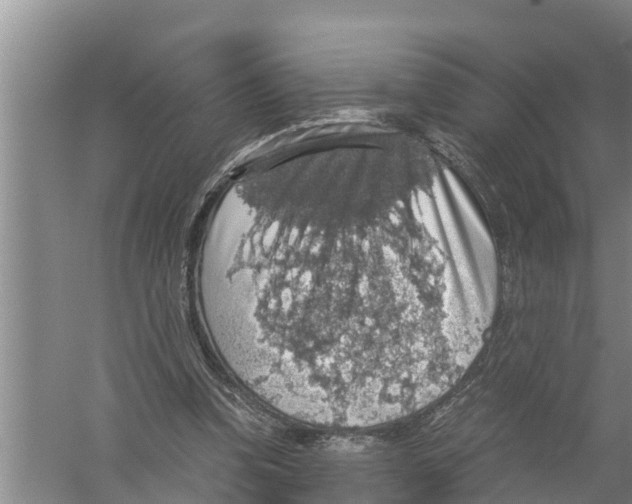 X0000058780346200510282017