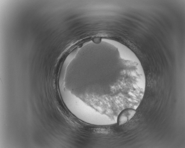 X0000058780347200510282017