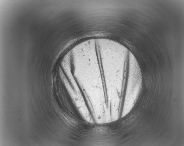 X0000058780350200510282017